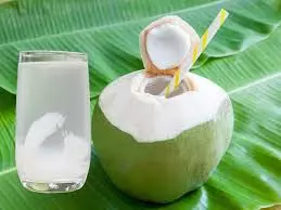 Health: ब्लड प्रेशर बढ़ जाता है तो दूर करने के लिए इन चीजों का करें सेवन Health: ब्लड प्रेशर बढ़ जाता है तो दूर करने के लिए इन चीजों का करें सेवन