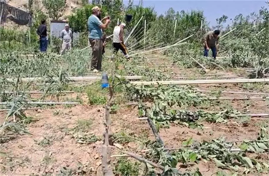 Jammu-Kashmir: भारी तूफान ने मचाई तबाही, किसानों के लिए नई मुसीबत Jammu-Kashmir: भारी तूफान ने मचाई तबाही, किसानों के लिए नई मुसीबत