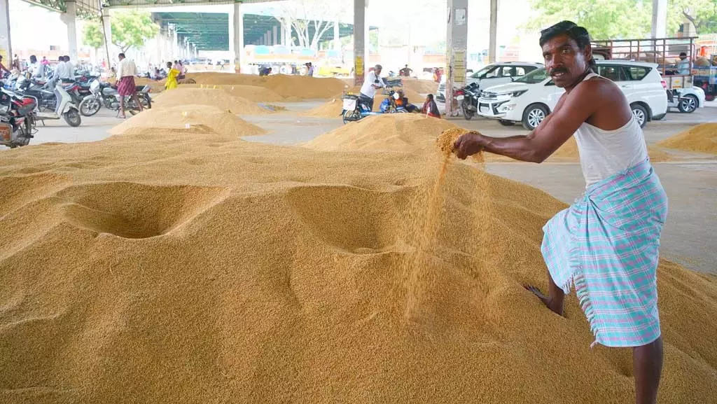 Raichur : बेमौसम बारिश से चावल उत्पादकों में बढ़ी बेचैनी Raichur : बेमौसम बारिश से चावल उत्पादकों में बढ़ी बेचैनी