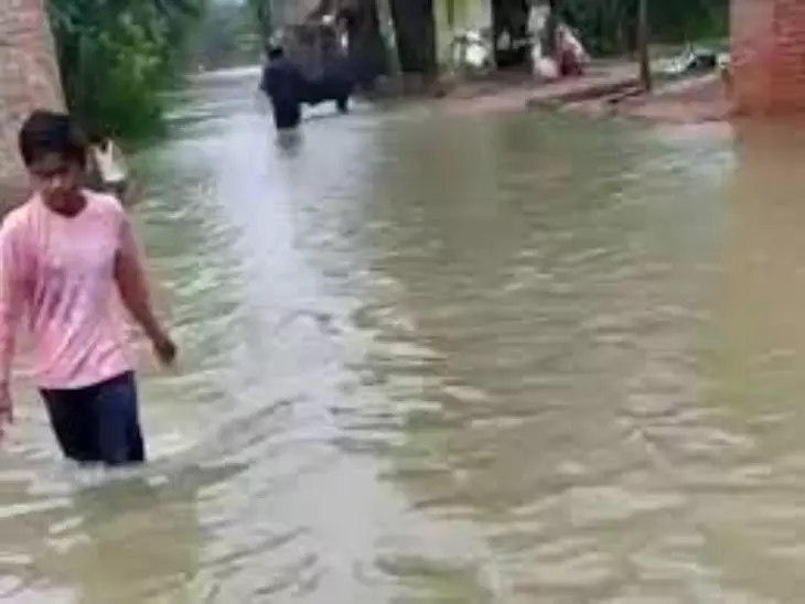 Araria: शिवपुरी वार्ड में जलनिकासी अभाव से लोग बेहाल Araria: शिवपुरी वार्ड में जलनिकासी अभाव से लोग बेहाल
