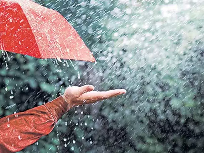 Monsoon : दक्षिण-पश्चिम दिशा में केरल से आगे उत्तर-पूर्व की ओर बढ़ रहा Monsoon : दक्षिण-पश्चिम दिशा में केरल से आगे उत्तर-पूर्व की ओर बढ़ रहा