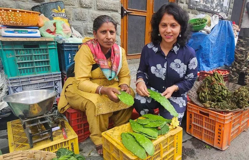 Himachal: नागफनी, एक पाककला जिज्ञासा और एक औषधीय चमत्कार Himachal: नागफनी, एक पाककला जिज्ञासा और एक औषधीय चमत्कार