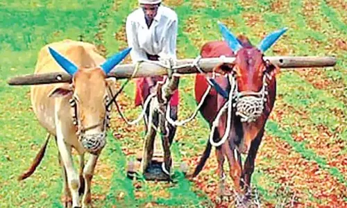 Odisha : राज्य के किसानों के लिए खुशखबरी