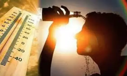 Haryana: गर्मी ने कर दिया हाल बेहाल, आज से 2 दिन तक लू का अलर्ट