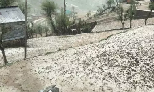 Kupwara माछिल में किसानों की उम्मीदें टूटीं