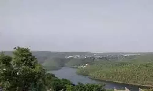AP: डोर्नला गांव के नल्लामाला जंगल में तेलुगु शिलालेख मिला