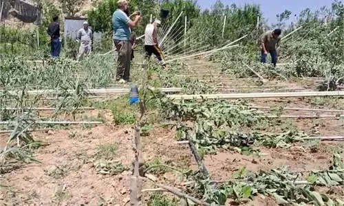 Jammu-Kashmir: भारी तूफान ने मचाई तबाही, किसानों के लिए नई मुसीबत