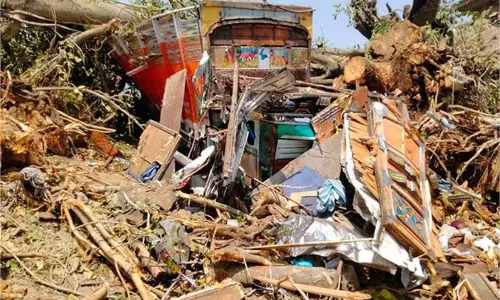 Himachal: ईंटों से भरे ट्रक पर बरगद का पेड़ गिरा, 2 की मौत Himachal: ईंटों से भरे ट्रक पर बरगद का पेड़ गिरा, 2 की मौत