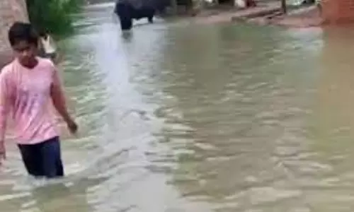 Araria: शिवपुरी वार्ड में जलनिकासी अभाव से लोग बेहाल Araria: शिवपुरी वार्ड में जलनिकासी अभाव से लोग बेहाल
