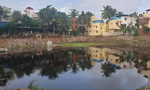पारादीप में JSW की पहल के तहत स्थानीय लोगों ने तालाब का जीर्णोद्धार किया पारादीप में JSW की पहल के तहत स्थानीय लोगों ने तालाब का जीर्णोद्धार किया