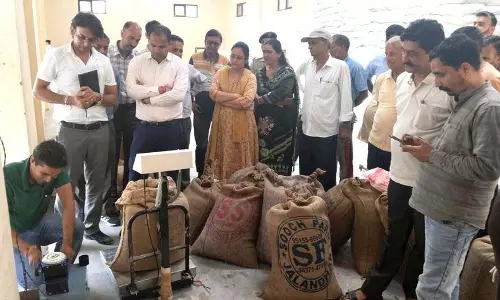 एमएसपी पर 7.8 मीट्रिक टन गेहूं की खरीद की जाएगी: DC