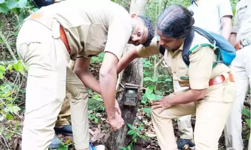 Kerala : उरुम्बिकारा में तेंदुओं पर नज़र रखने के लिए कैमरे लगाए गए Kerala : उरुम्बिकारा में तेंदुओं पर नज़र रखने के लिए कैमरे लगाए गए