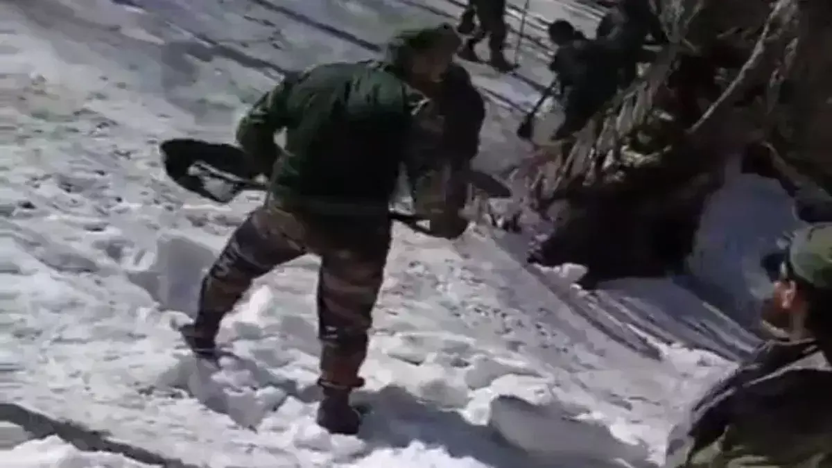 Chamoli: सेना ने तीन किमी आस्था पथ से हटाई बर्फ, गुरुद्वारा होगा फूलों से सुसज्जित Chamoli: सेना ने तीन किमी आस्था पथ से हटाई बर्फ, गुरुद्वारा होगा फूलों से सुसज्जित