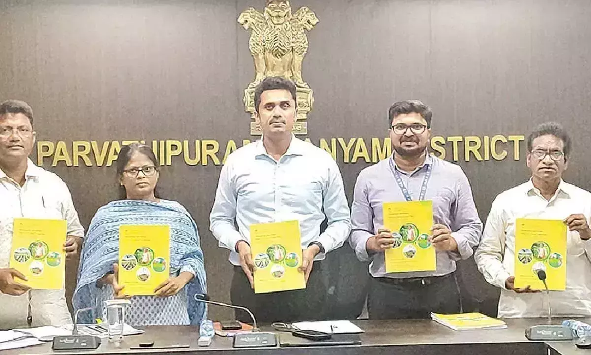 Collector ने 4,215 करोड़ रुपये की ऋण योजना का अनावरण किया