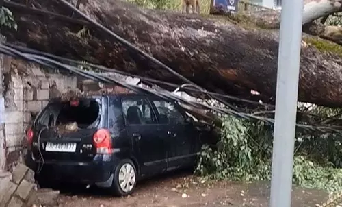 Kullu के ऊपरी इलाकों में बर्फबारी, सैंज और बंजार घाटी में ओलावृष्टि