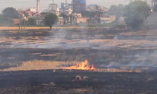Punjab में अब तक खेतों में आग लगने की 9,266 घटनाएं, अमृतसर सबसे ऊपर