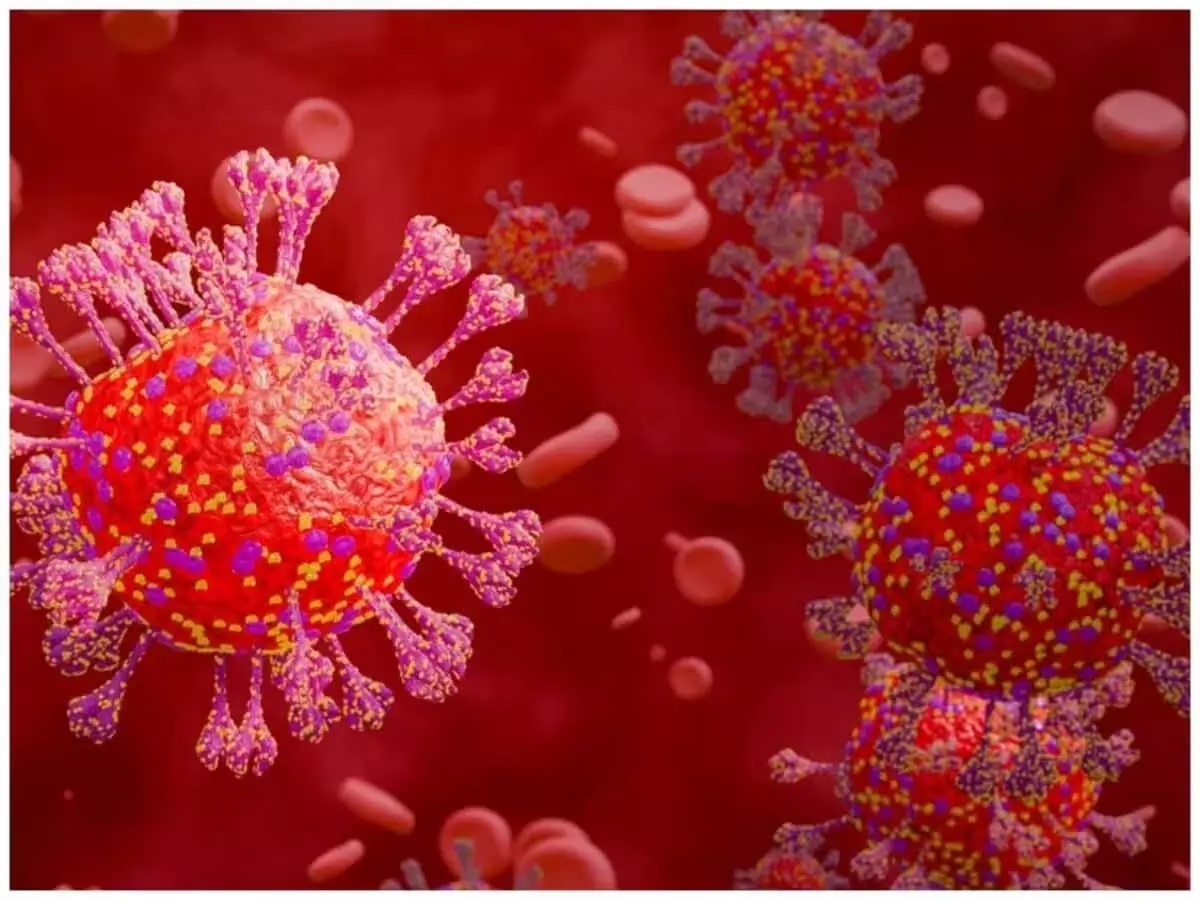 कोविड: स्वास्थ्य विभाग सतर्क कोविड: स्वास्थ्य विभाग सतर्क