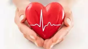 Health: हार्ट को कैसे स्वस्थ रखें, जानिए स्वामी रामदेव से दिल को स्वस्थ रखने का तरीका Health: हार्ट को कैसे स्वस्थ रखें, जानिए स्वामी रामदेव से दिल को स्वस्थ रखने का तरीका