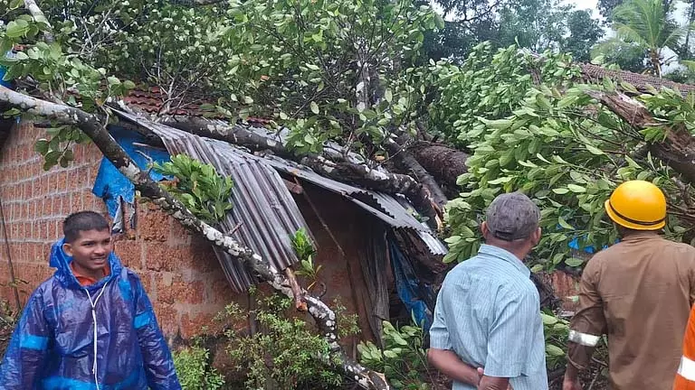 GOA: पेनजिम के महलवाड़ा में अकेली महिला के घर पर कटहल का पेड़ गिरा GOA: पेनजिम के महलवाड़ा में अकेली महिला के घर पर कटहल का पेड़ गिरा