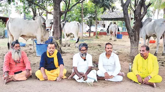 Telangana : सेव संगठन ने बूचड़खाने में बेचे गए ओंगोल बैलों को बचाया Telangana : सेव संगठन ने बूचड़खाने में बेचे गए ओंगोल बैलों को बचाया