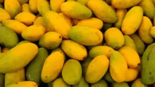 Mango फलों के राजा का जश्न मनाने के लिए 3 अवश्य आज़माएँ व्यंजन Mango फलों के राजा का जश्न मनाने के लिए 3 अवश्य आज़माएँ व्यंजन