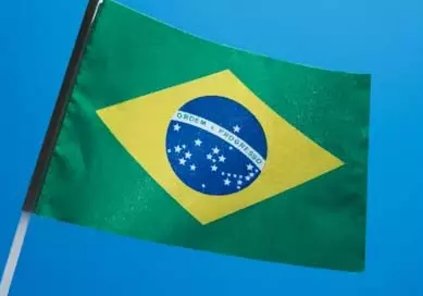 Brazil में बर्ड फ्लू के मामले के बाद चिकन व्यापार पर प्रतिबंध बढ़े Brazil में बर्ड फ्लू के मामले के बाद चिकन व्यापार पर प्रतिबंध बढ़े