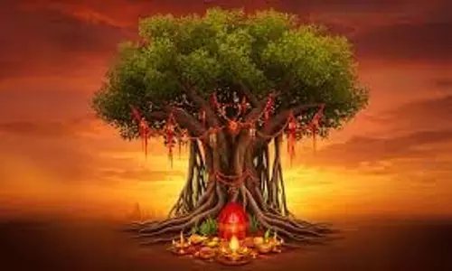 Vat Savitri Vrat 2025: जानें वट सावित्री व्रत की सही तिथि, शुभ मुहूर्त और पूजा विधि