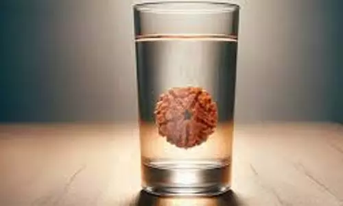 धर्म: औषधीय गुणों से भरपूर है रुद्राक्ष का पानी,  जानें इसके सेवन के फायदे