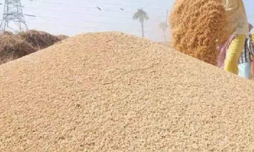 1 करोड़ 65 लाख की धान गड़बड़ी, 3 कर्मचारी सस्पेंड, FIR के निर्देश