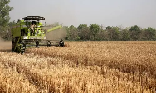 Haryana सरकार ने 1,267.49 करोड़ रुपये की वार्षिक कृषि योजना को मंजूरी दी