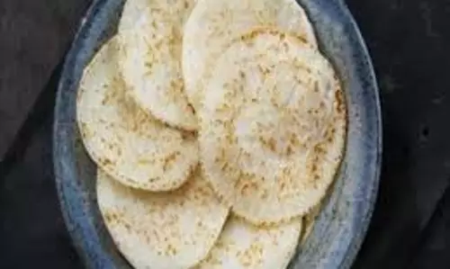 Vegetable Roti: नाश्ते में ट्राई करें स्वाद और सेहत से भरपूर वेजिटेबल रोटी Vegetable Roti: नाश्ते में ट्राई करें स्वाद और सेहत से भरपूर वेजिटेबल रोटी