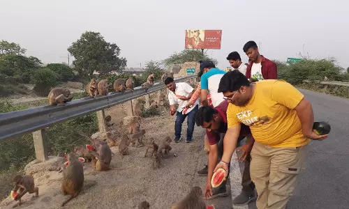 Bareilly: बंदरों को फल खिलाकर दी गई जीव सेवा की मिसाल Bareilly: बंदरों को फल खिलाकर दी गई जीव सेवा की मिसाल