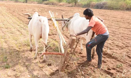 नकली बीज, उर्वरक: पर अंकुश लगाने की जरूरत नकली बीज, उर्वरक: पर अंकुश लगाने की जरूरत