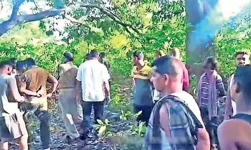 Odisha : हाथी के हमले में महिला की मौत