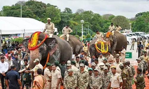 CM सिद्धारमैया ने राज्य के 4 कुमकी हाथियों को आंध्र प्रदेश को सौंपा