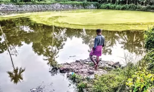 Kerala : माला वलियापरम्बा पुथुकुलम का नवीनीकरण आधा पूरा हो गया Kerala : माला वलियापरम्बा पुथुकुलम का नवीनीकरण आधा पूरा हो गया