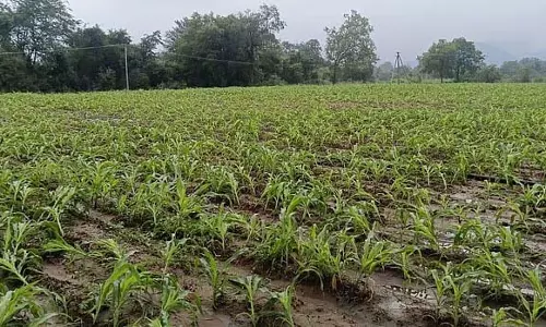 Telangana में और अधिक गोदाम-कोल्ड स्टोरेज इकाइयां बनाई जाएंगी