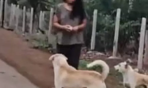 कारोबारी की बेटी की दबंगई, पाल रखी हैं खूंखार कुत्ते, सड़क से गुजरने वाले परेशान