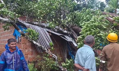 GOA: पेनजिम के महलवाड़ा में अकेली महिला के घर पर कटहल का पेड़ गिरा
