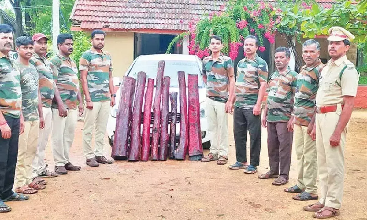 Andhra: गोलापल्ली के पास लाल चंदन जब्त किया गया Andhra: गोलापल्ली के पास लाल चंदन जब्त किया गया