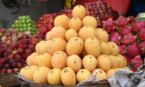 FSSAI ने राज्यों से अवैध फल पकाने वाले एजेंटों के उपयोग पर रोक लगाने का आग्रह किया FSSAI ने राज्यों से अवैध फल पकाने वाले एजेंटों के उपयोग पर रोक लगाने का आग्रह किया