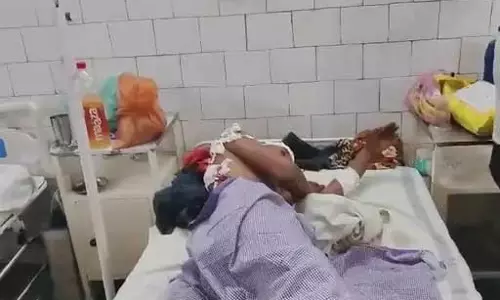 भालू से हुआ सामना, युवक ने किसी तरह संघर्ष कर अपनी जान बचाई, लेकिन...