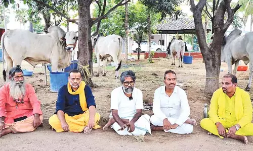Telangana : सेव संगठन ने बूचड़खाने में बेचे गए ओंगोल बैलों को बचाया Telangana : सेव संगठन ने बूचड़खाने में बेचे गए ओंगोल बैलों को बचाया