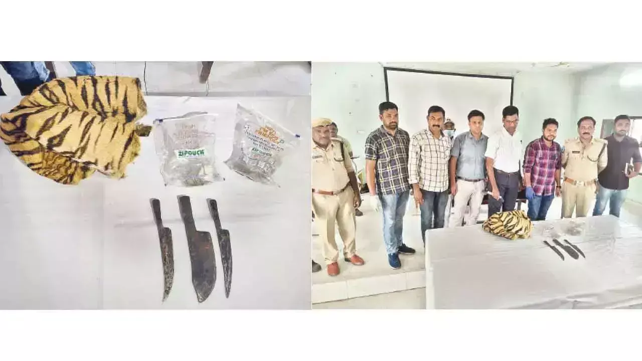 Telangana: वन अधिकारियों ने मृत बाघिन के शव के टुकड़े बरामद किए Telangana: वन अधिकारियों ने मृत बाघिन के शव के टुकड़े बरामद किए