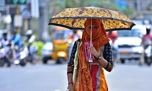 Tamil Nadu के लगभग सभी हिस्सों में गर्मी का जोखिम बहुत ज़्यादा Tamil Nadu के लगभग सभी हिस्सों में गर्मी का जोखिम बहुत ज़्यादा