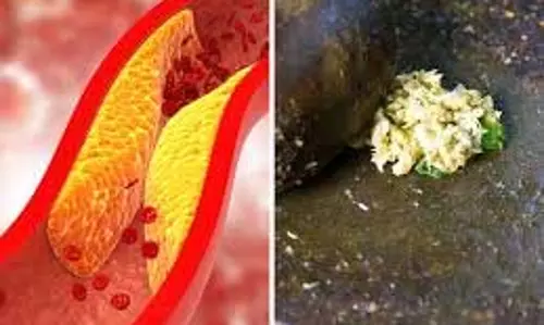 Cholesterol घटाने में कारगर ये 2 हेल्दी डिशेज Cholesterol घटाने में कारगर ये 2 हेल्दी डिशेज