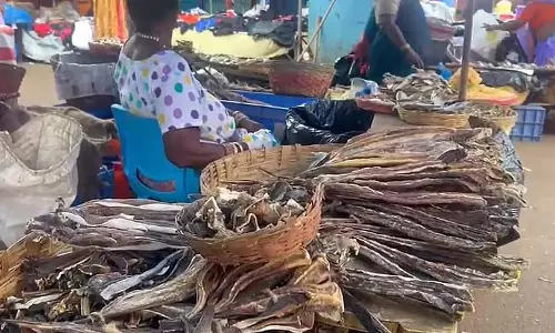 Purumetache दावत विक्रेताओं को कम ग्राहकी और अधिक शुल्क के कारण नुकसान का सामना करना पड़ा Purumetache दावत विक्रेताओं को कम ग्राहकी और अधिक शुल्क के कारण नुकसान का सामना करना पड़ा