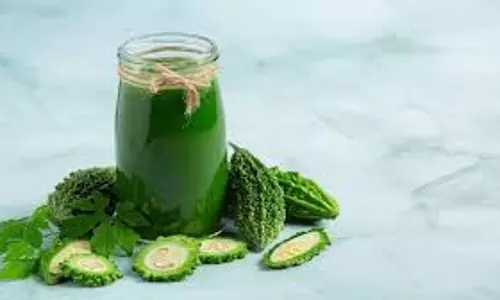 Bitter gourd juice: आसान तरीके से तैयार हो जाता है यह हेल्दी ड्रिंक Bitter gourd juice: आसान तरीके से तैयार हो जाता है यह हेल्दी ड्रिंक