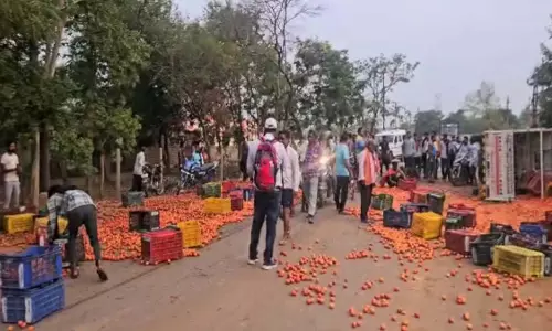 टमाटर से भरी पिकअप पलटी, सड़क पर बिखरे टमाटर, अफरा-तफरी का माहौल