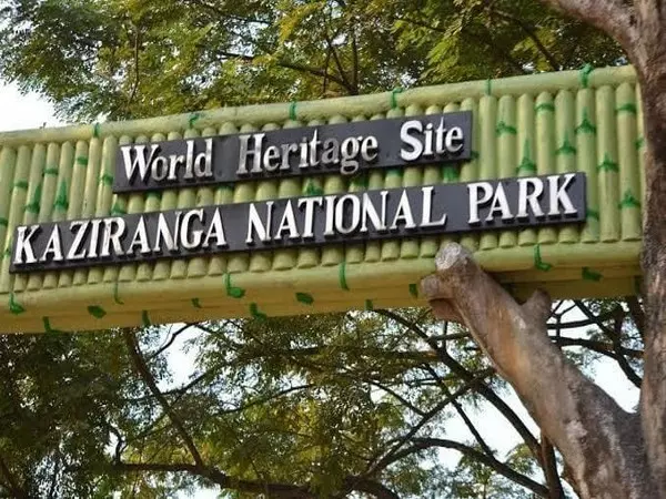 Assam: मानसून के मौसम से पहले काजीरंगा में बाढ़ की तैयारियों पर अधिकारियों ने बैठक की Assam: मानसून के मौसम से पहले काजीरंगा में बाढ़ की तैयारियों पर अधिकारियों ने बैठक की